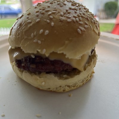 Sourdough Hamburger Buns 4 Pack