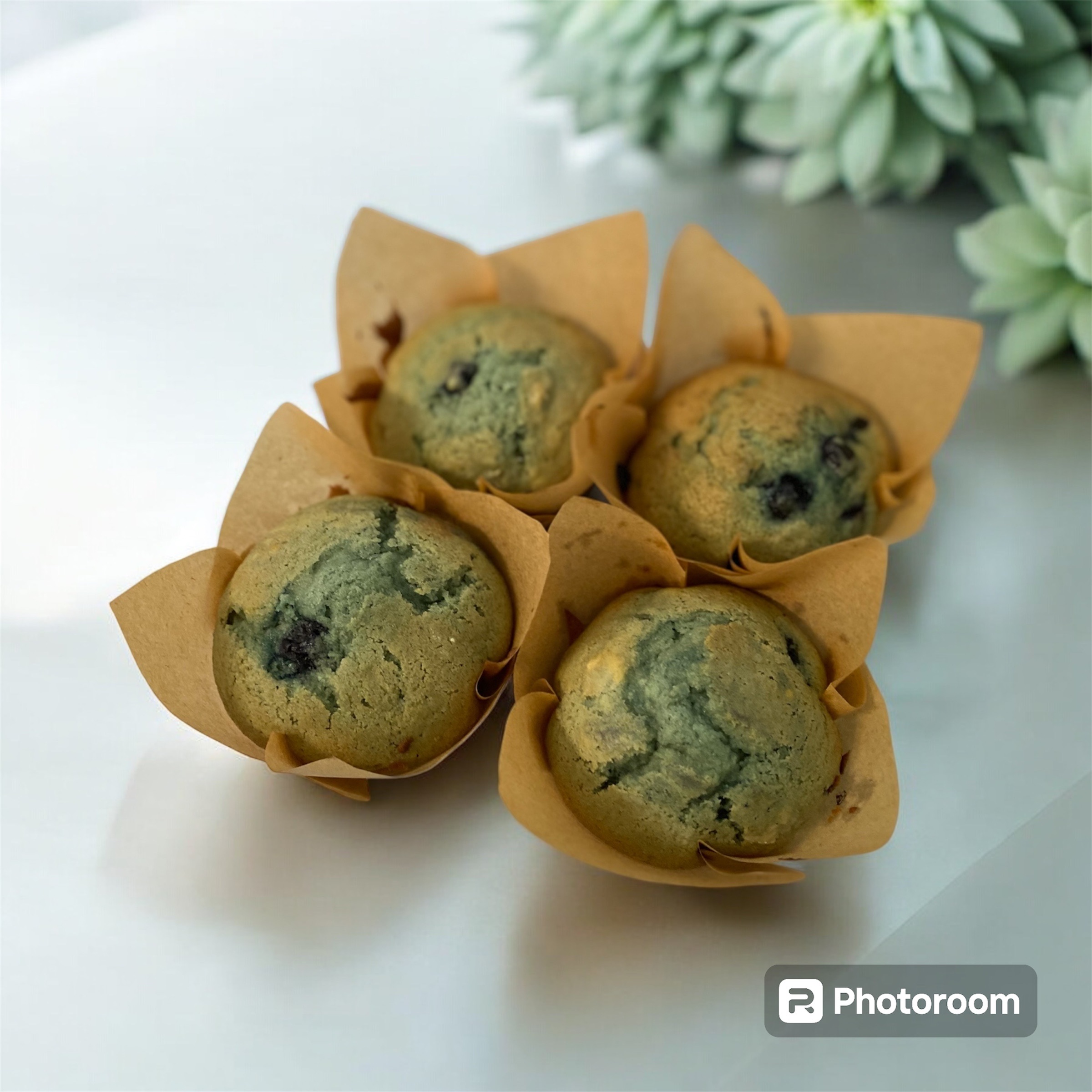Sourdough Muffins