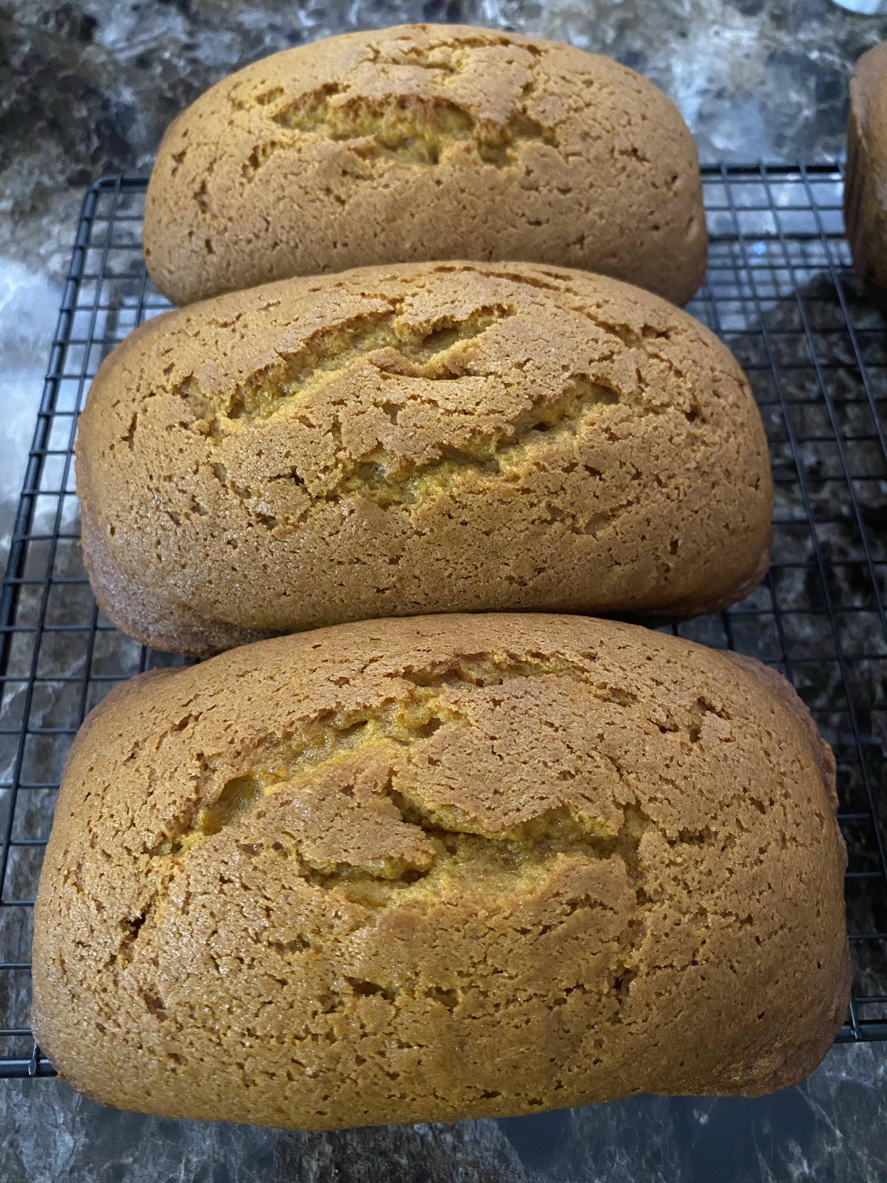 Pumpkin Bread + Chocolate Chips - Small Loaf