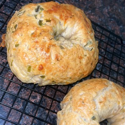 Jalapeño Bagels| Dozen