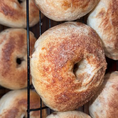 Raisin Cinnamon Swirl Bagels