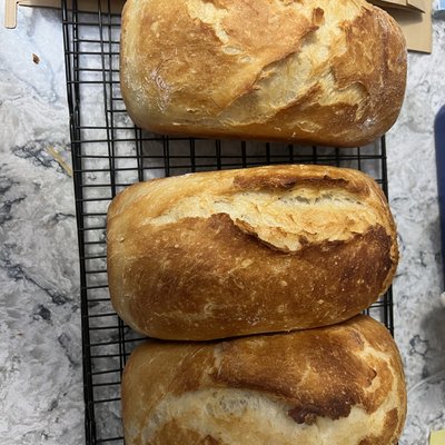 Sandwich Style White