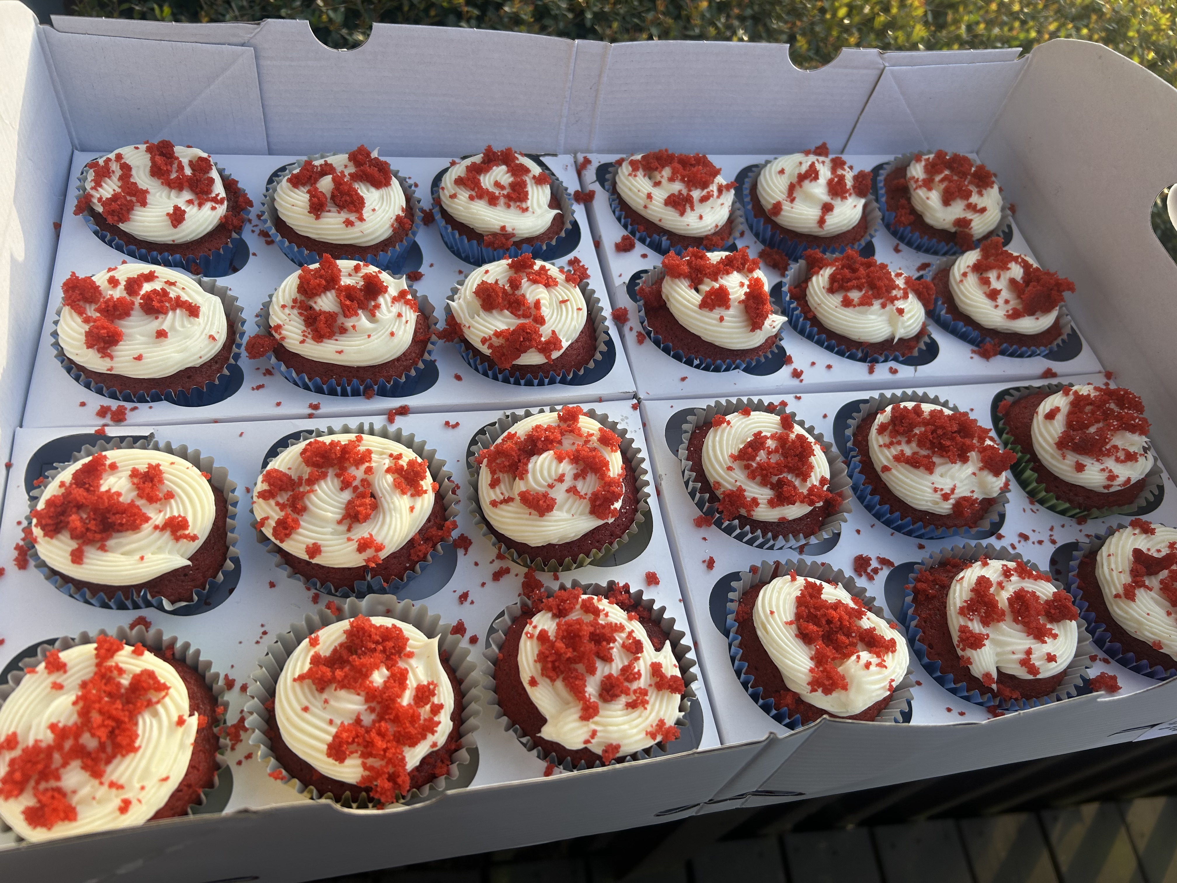 Cupcakes 