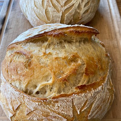 The G.O.A.T (Plain)Organic Sourdough Boule