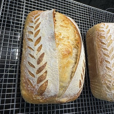 Sourdough Bread - Cinnamon Sugar