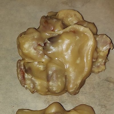 Old-Fashioned Pecan Pralines (3 pralines)