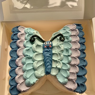 Cake - 3 Layer - 7 Inch - Butterfly Cake