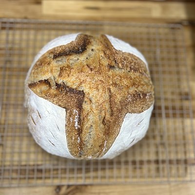 Organic Whole Wheat Sourdough Boule 