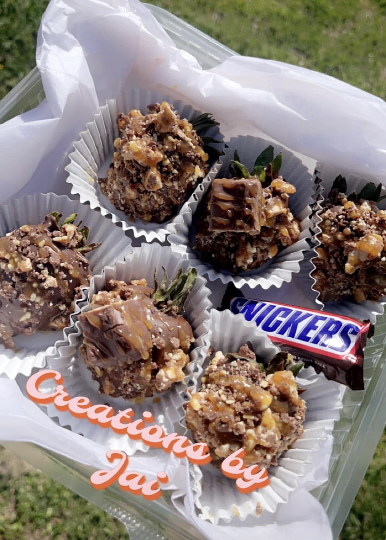 Snickers Berries Half Dozen