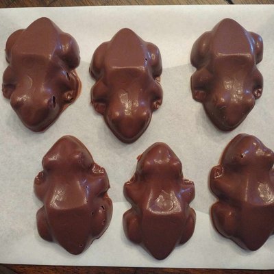 Chocolate Frogs