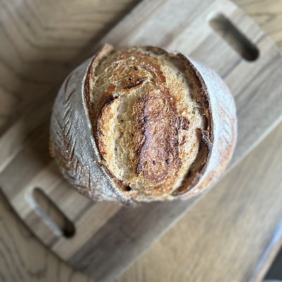 Roasted Garlic + Yo’s Mary Boule