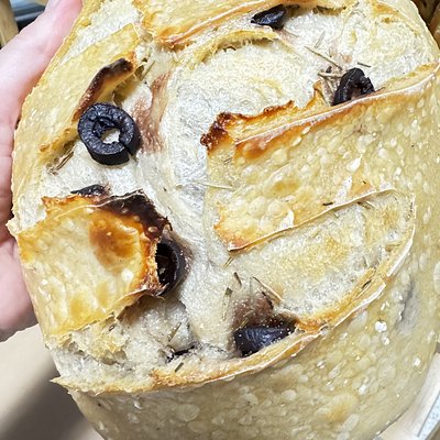 Opa!  A Greek Inspired Sourdough With Kalamata Olives & Rosemary (Speciality Loaf)