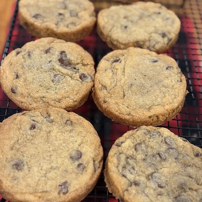 Chocolate Chip 