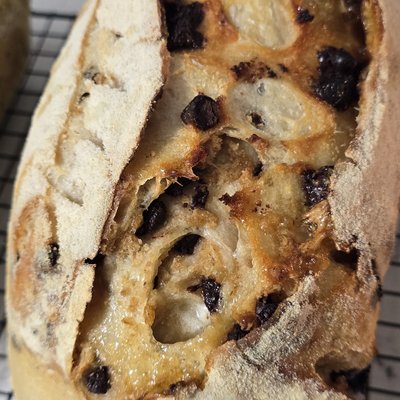 Sourdough With Chocolate Chips