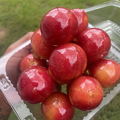 candy cherry plums 