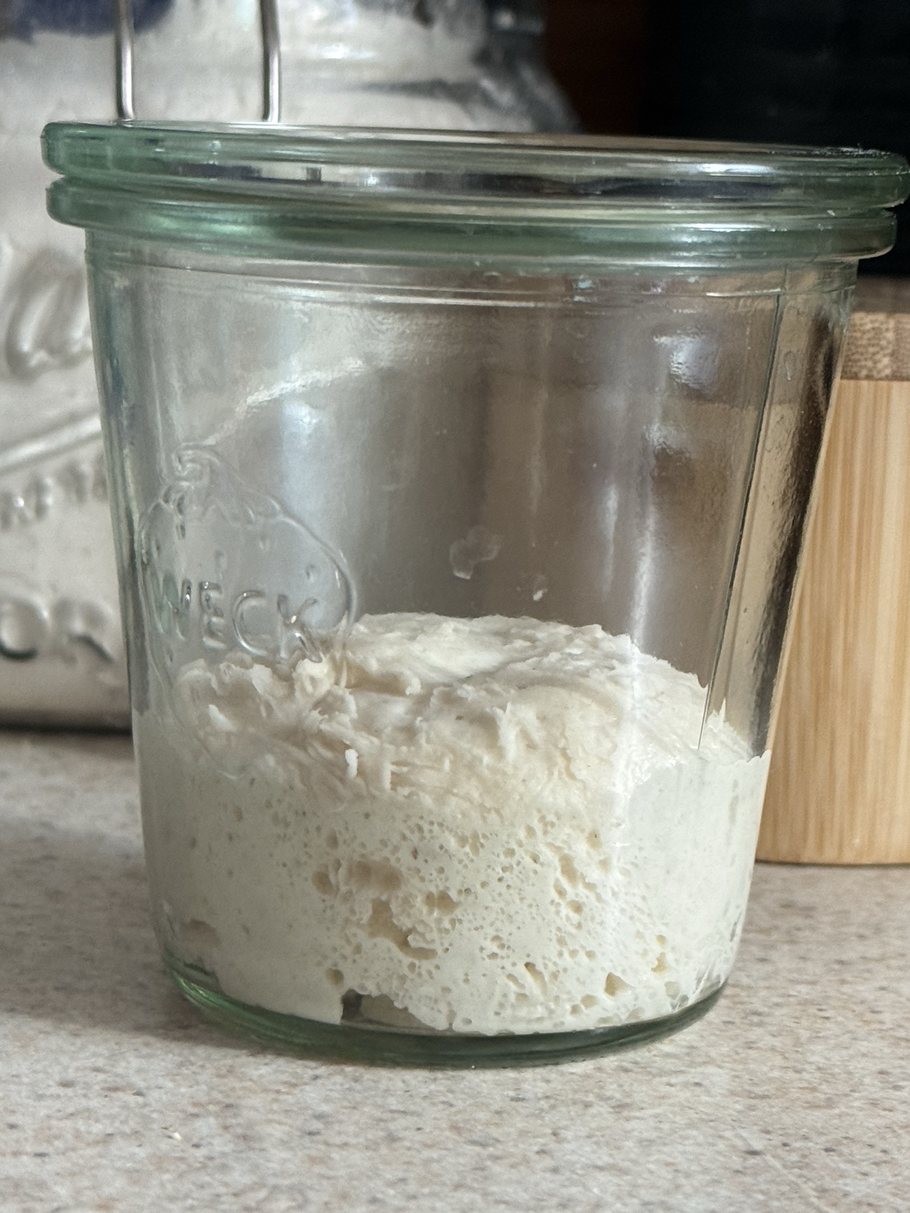 Fresh Organic Starter