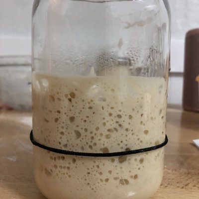 Organic Sourdough Starter 