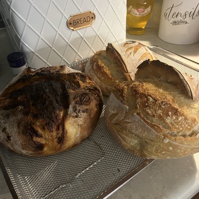 Organic Sourdough Italian Herb & Cheese 