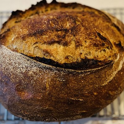 Mini Sourdough Loaf