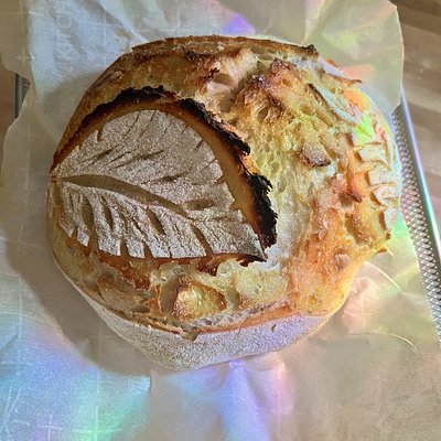 Sourdough Loaf