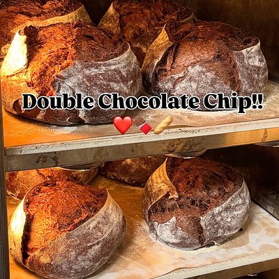 Double Chocolate Chip Sourdough