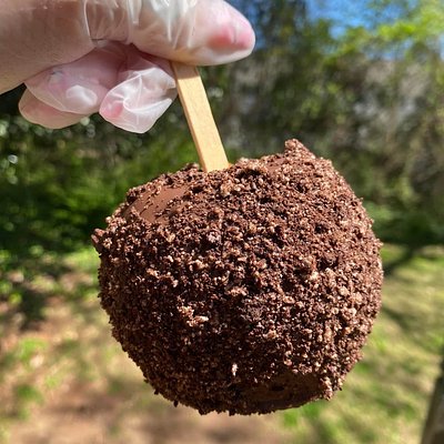 Chocolate Covered Crunch Apples 
