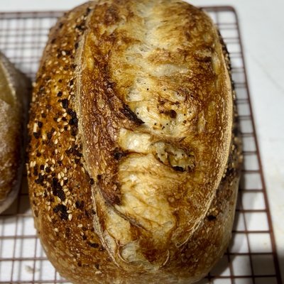Everything Bagel Sourdough Loaf