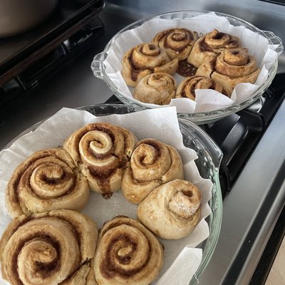 Sourdough Discard Cinnamon Rolls