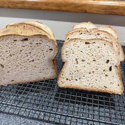 Gluten Free Sourdough 