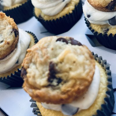 Choc Chip Cupcake Dozen 