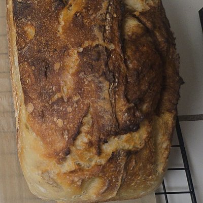 Cinnamon Sugar Sourdough Loaves