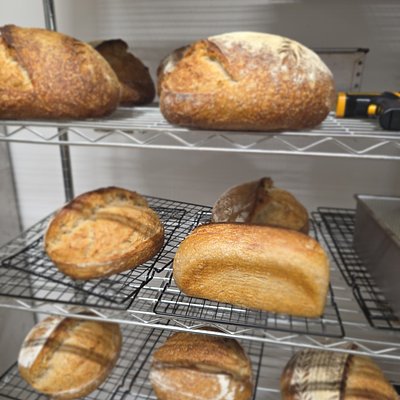 Sourdough 900 Gram Loaf
