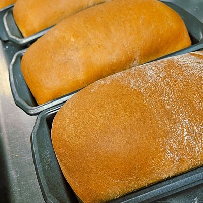 Sandwich Bread -White