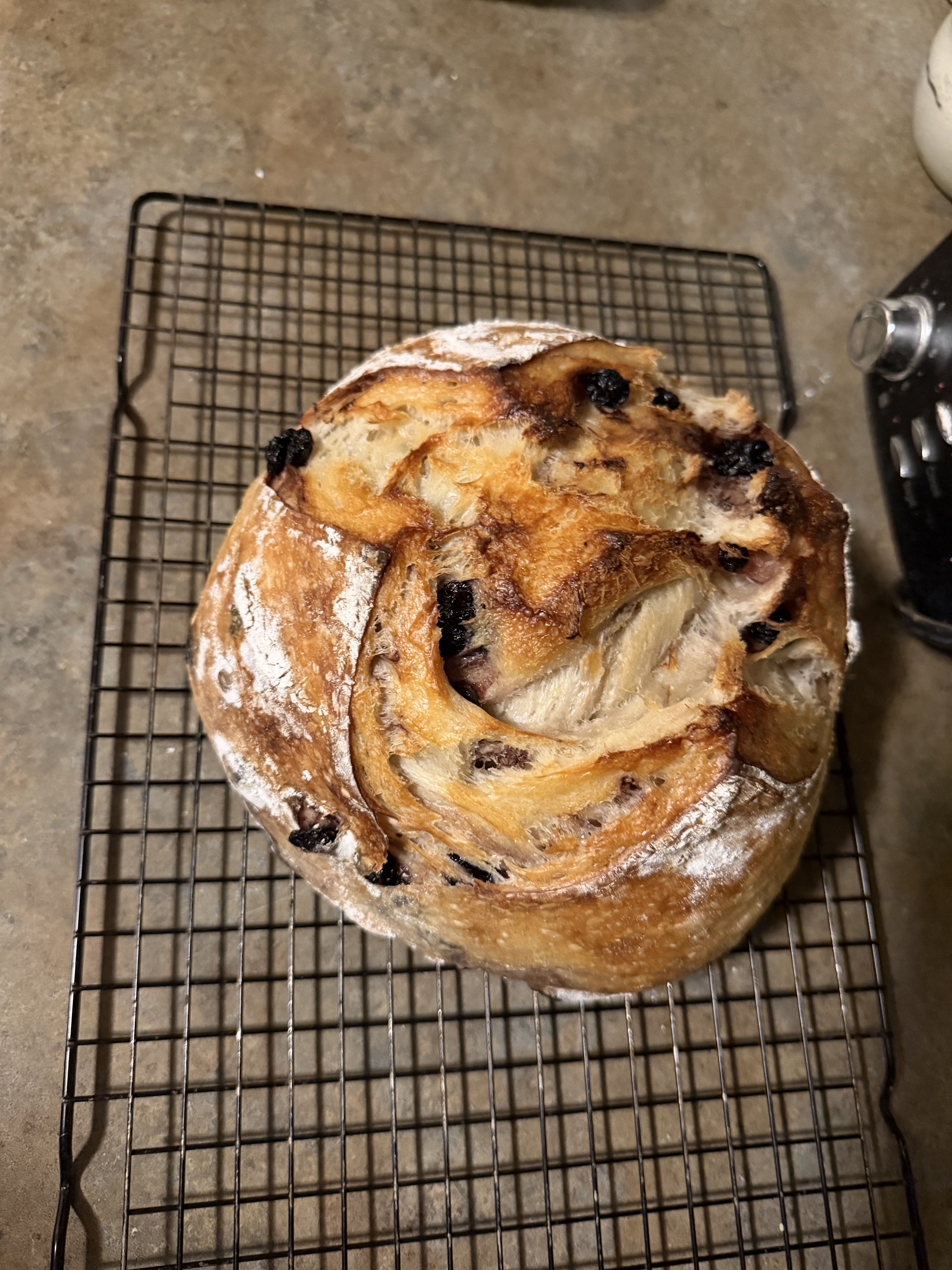 Blueberry/Lemon Cream Cheese Loaf