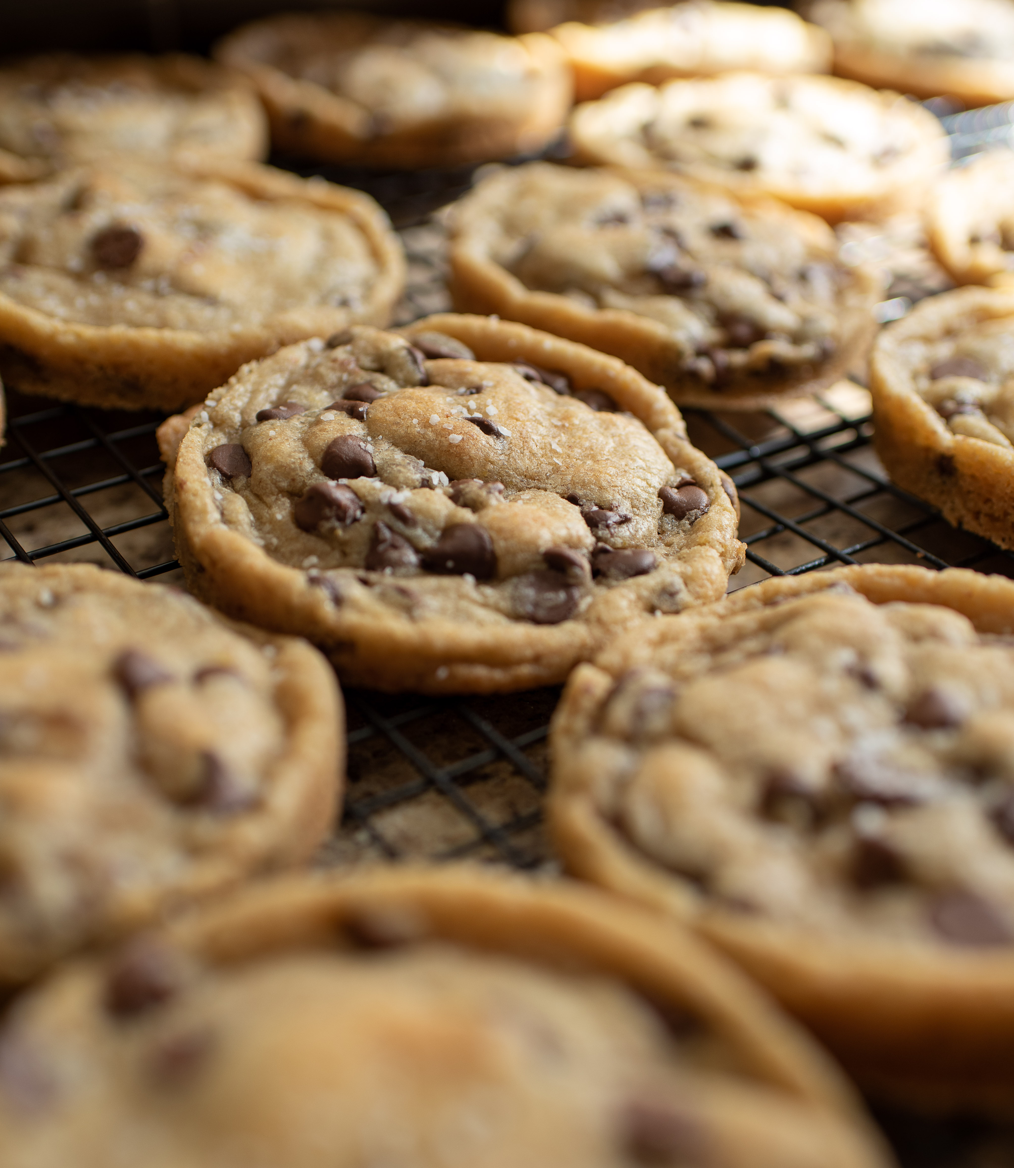 1/2 Dozen Sourdough Chocolate Chip Cookies 