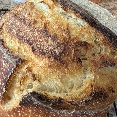 Rosemary Sourdough Boule 