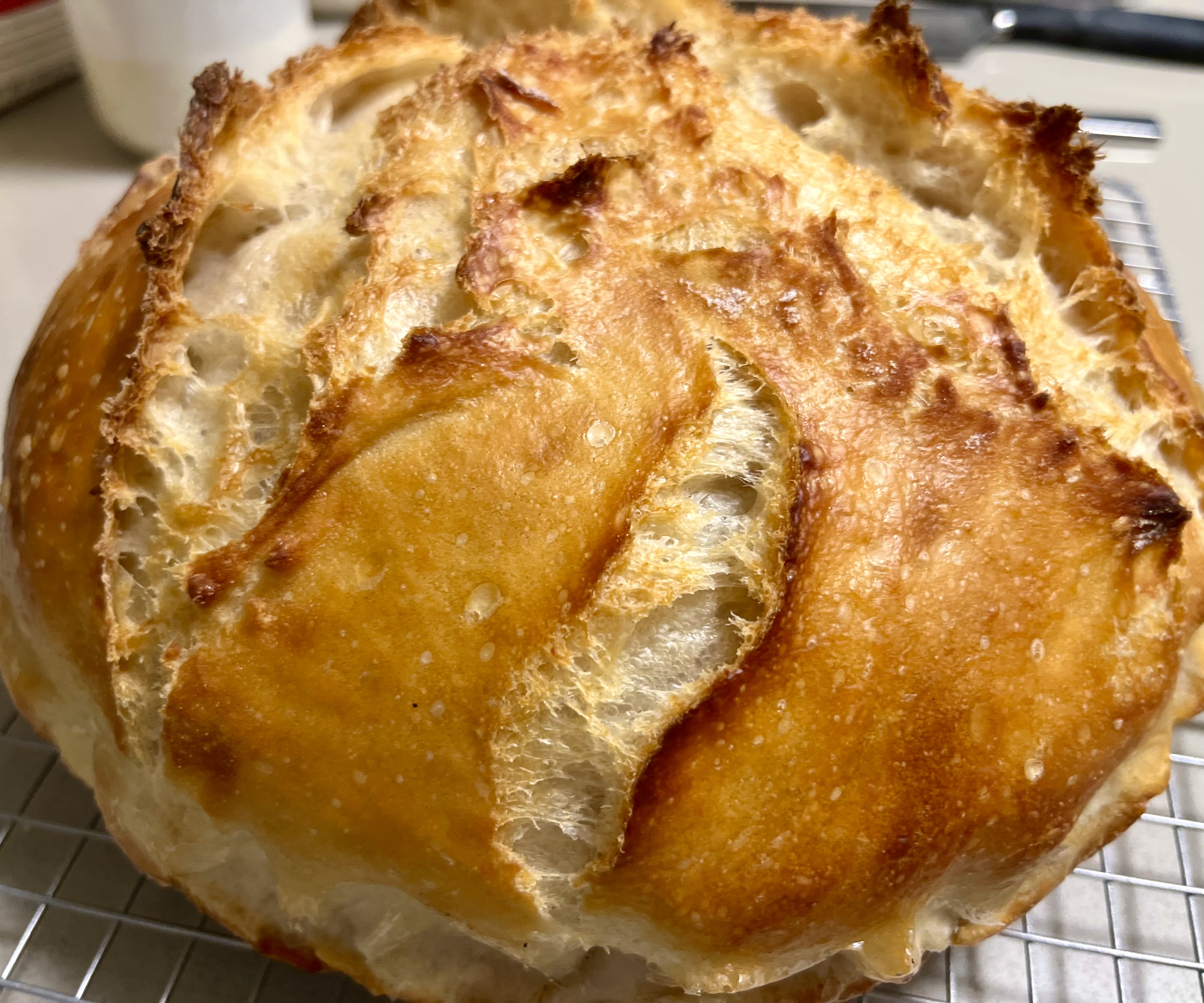 Sourdough - Big Loaf