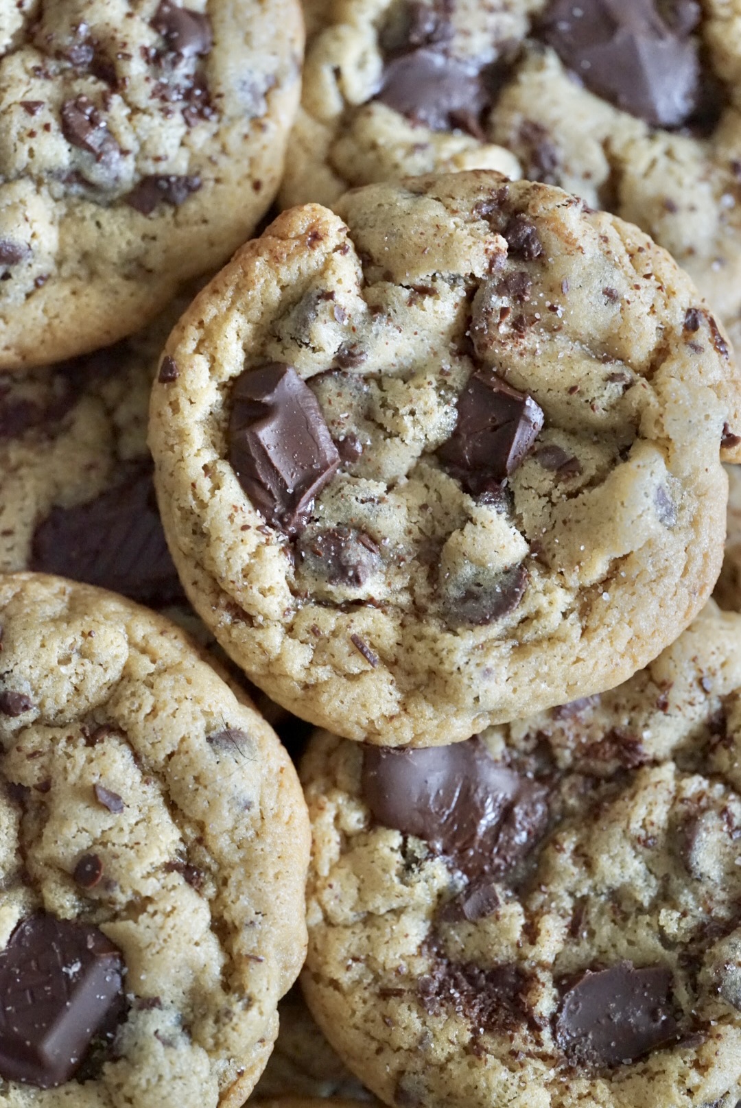 Chocolate Chunk Cookie Box - 6 Count