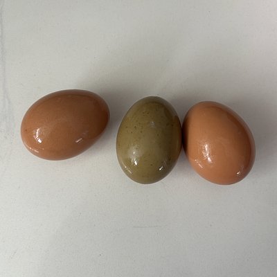 Eggs- Dozen