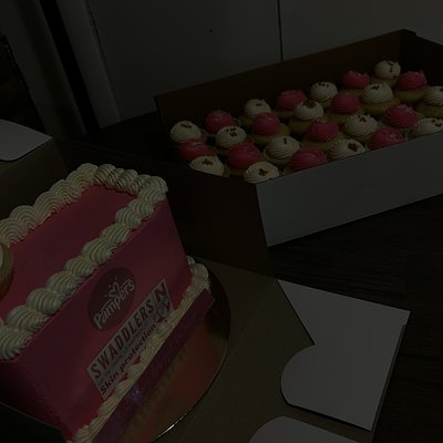 8 In custom cake w/ 1 dozen matching cupcakes 