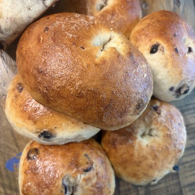 “Blueberry Bagels ”
