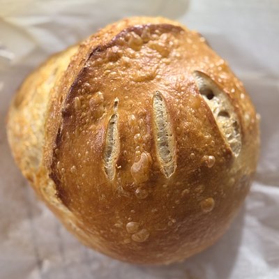 Plain Sourdough Loaf