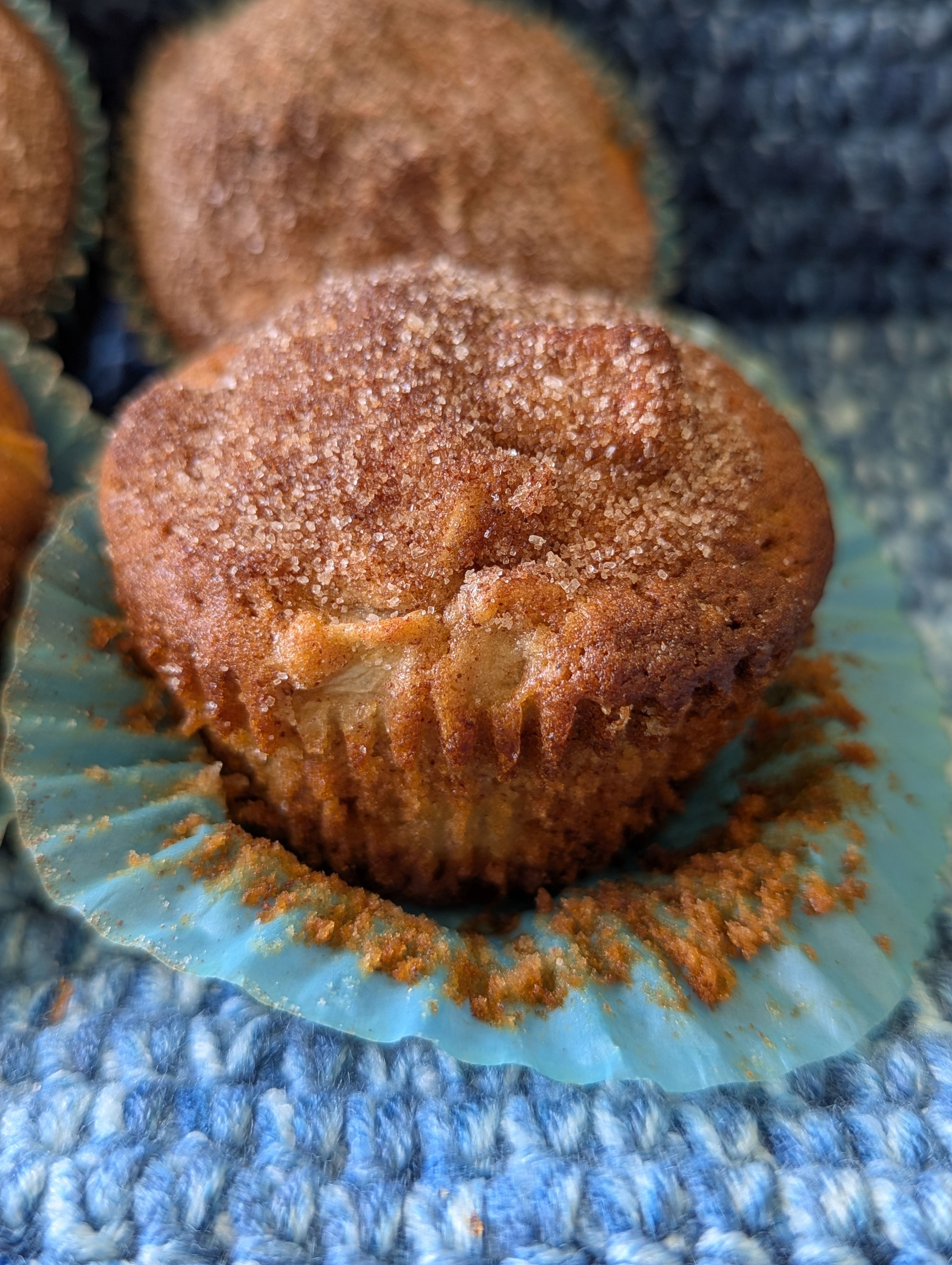 Cinnamon Sugar Apple Muffins 