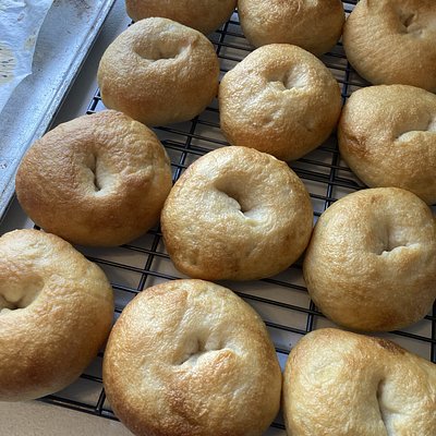 4 Pack - Plain Bagels