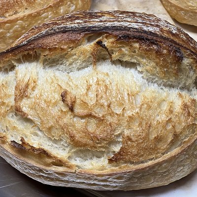 3 Week Organic Bread