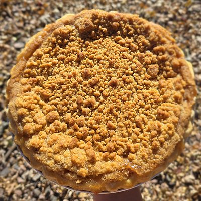 🥧🍎Honey Crisp Dutch Apple Pie🍎🥧