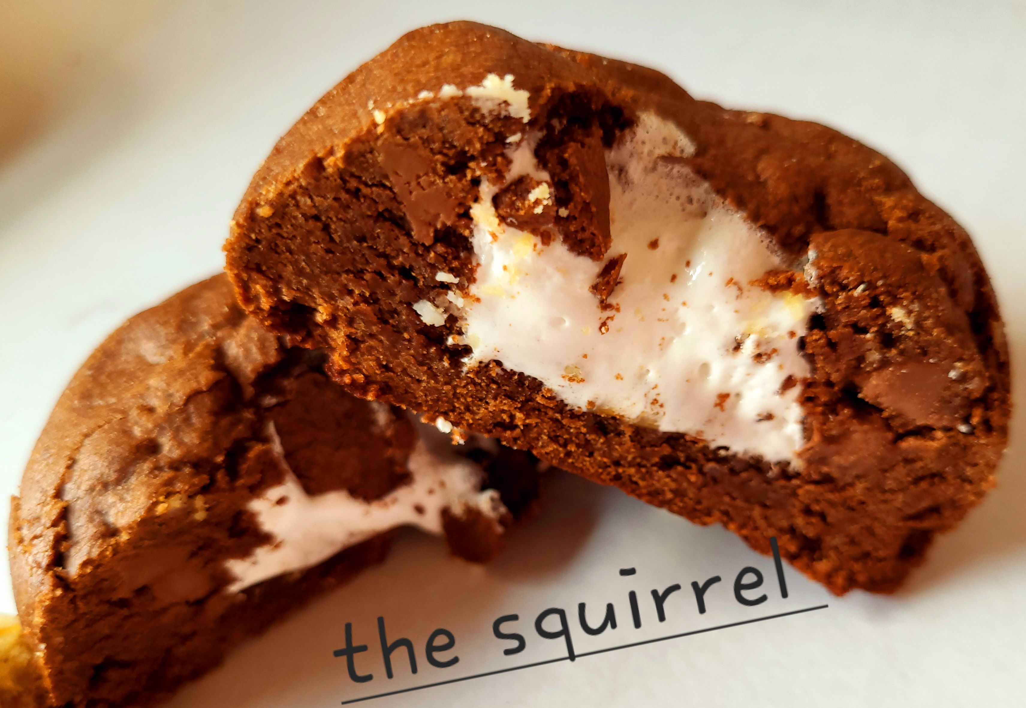 The Squirrel 