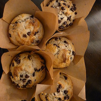 Chocolate Chip Muffin