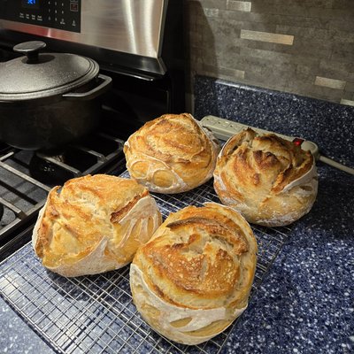 Basic Sourdough Loaf