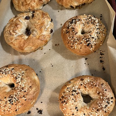 Sourdough Bagels 
